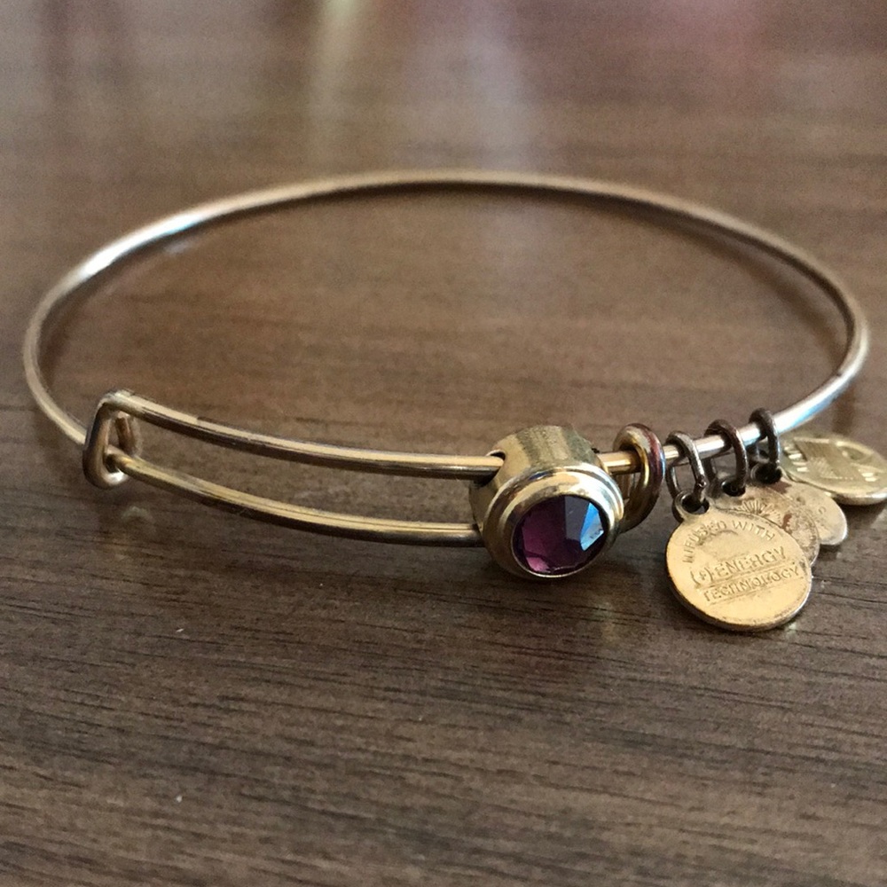 Alex + Ani Purple Crystal Gold Bangle Bracelet